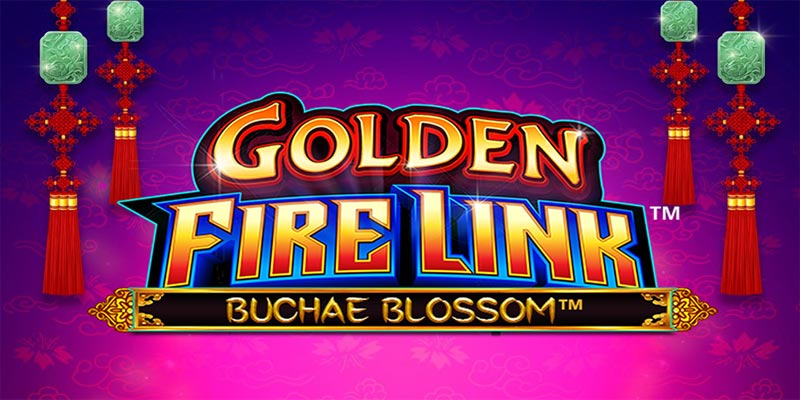 Introduction to Game Slot Golden Fire Link Buchae Blossom